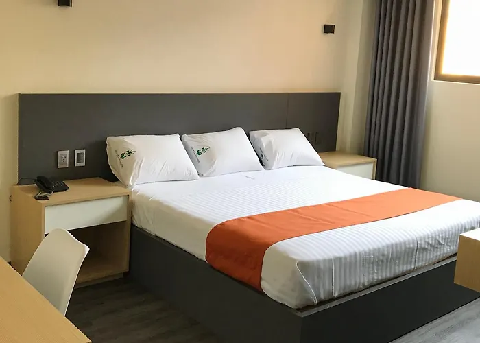 Conde Alameda Cdmx 3*